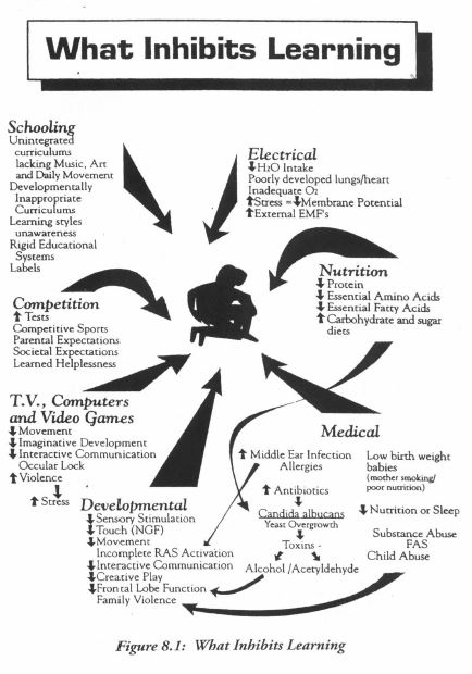 WhatInhibitsLearning-chart
